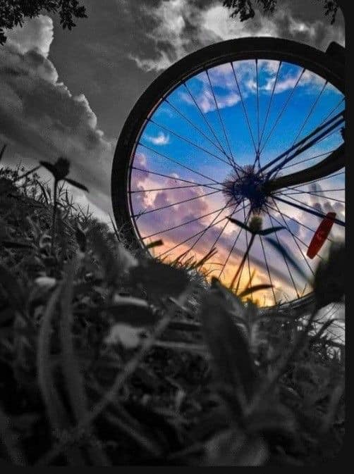 The meme is a photo of a bicycle wheel, with the sky and clouds reflected in the spokes. The image is captioned "When you're trying to get some exercise, but your brain is still on Netflix".